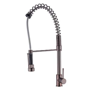 Celie Single-Handle Pull-Down Sprayer Kitchen Faucet with Spring Spout in Oil Rubbed Bronze