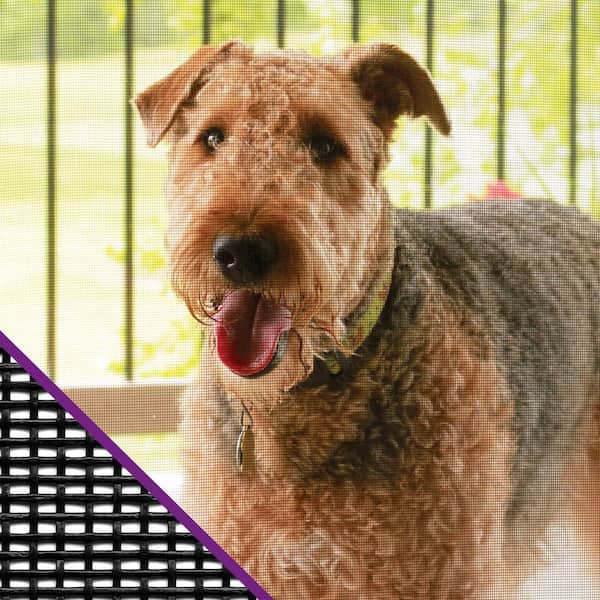 36 in. x 84 in. Charcoal Polyester Pet Resistant Screen Roll for Windows and Door