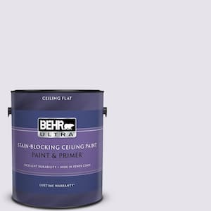 1 gal. #640A-1 Soft Iris Ceiling Flat Interior Paint and Primer