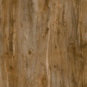 Take Home Sample-9 in. W x 8 mm T Rocky Mountain Oak WPC Waterproof Click Locking Luxury Vinyl Plank Flooring