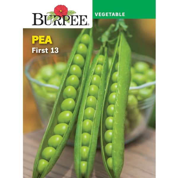 Pea Shelling First 13 Seed