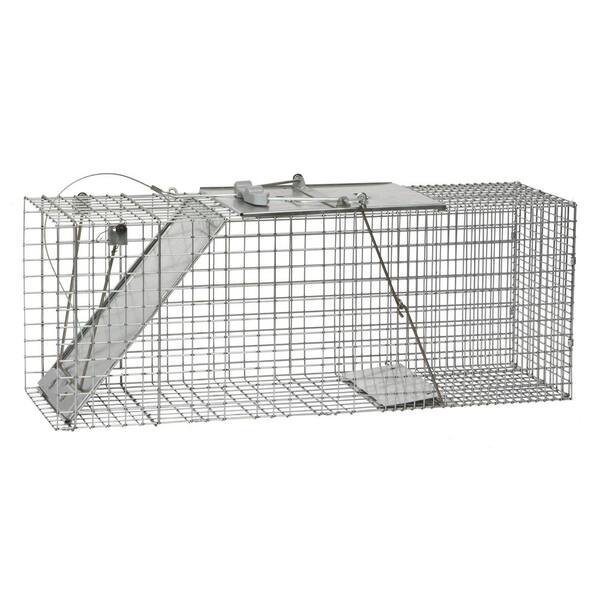 Havahart Large 1-Door Easy Set Live Animal Cage Trap for Racoon, Opossum, Muskrat, and Groundhog