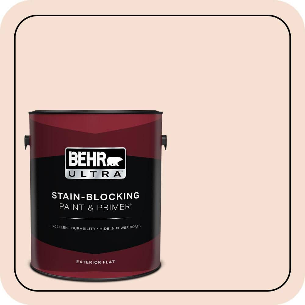 1 gal. #240E-1 Muffin Mix Flat Exterior Paint & Primer price history on PriceWatchPro