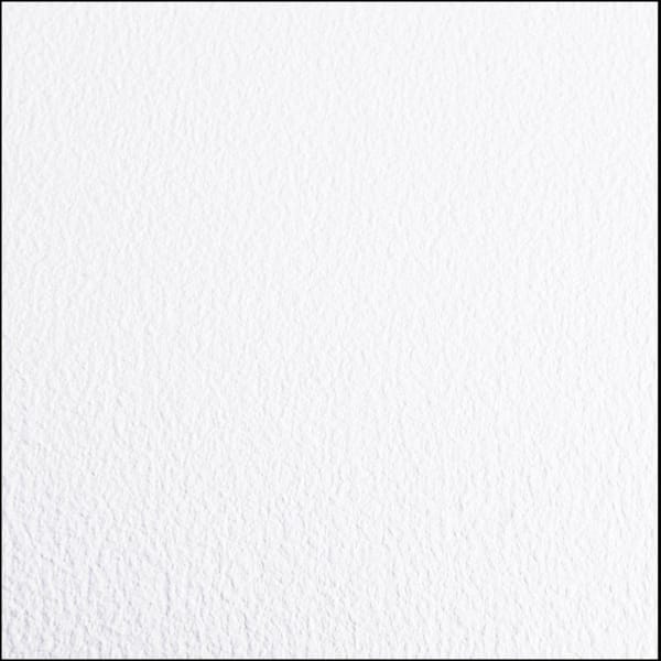 Greenhouse/Grow Room Absolute White Ceramic Commercial/Residential Vinyl Sheet Flooring 10 ft. x 61 ft.