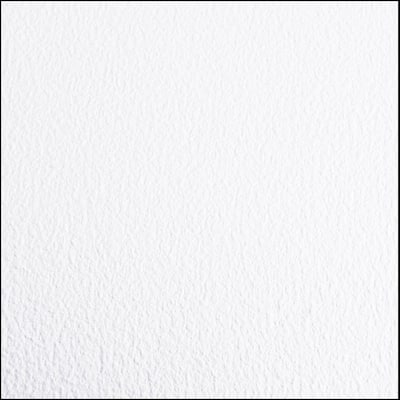 Greenhouse/Grow Room Absolute White Ceramic Commercial/Residential Vinyl Sheet Flooring 5 ft. W x 10 ft. L