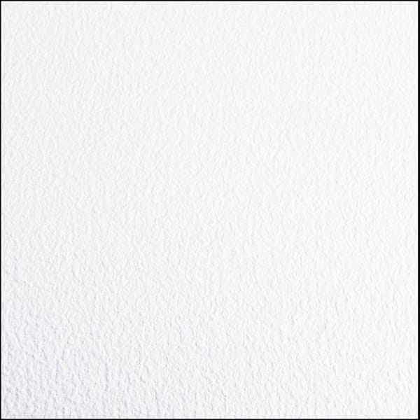 GROWFLOOR Greenhouse/Grow Room Absolute White Ceramic Commercial/Residential Vinyl Sheet Flooring 5 ft. W x 10 ft. L