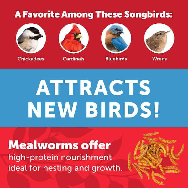 Select 17.6 oz. Mealworms Wild Bird Food