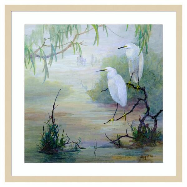 Amanti Art Snowy Egrets in Wetlands by Floy Zittin 25 in. W x 25 in. H. Wood Framed Wall Art Print Framed in Brown