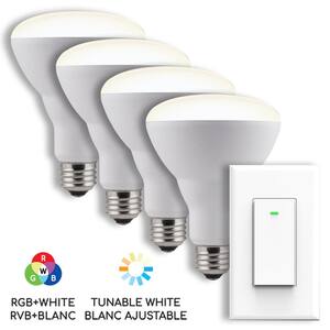 65-Watt Equivalent BR30 Dimmable RGBW Smart LED Light Bulb with Switch (4-Pack )