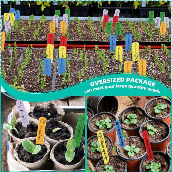 Phewnyzo 300-Pieces Multicolor PVC Plant Labels for Garden