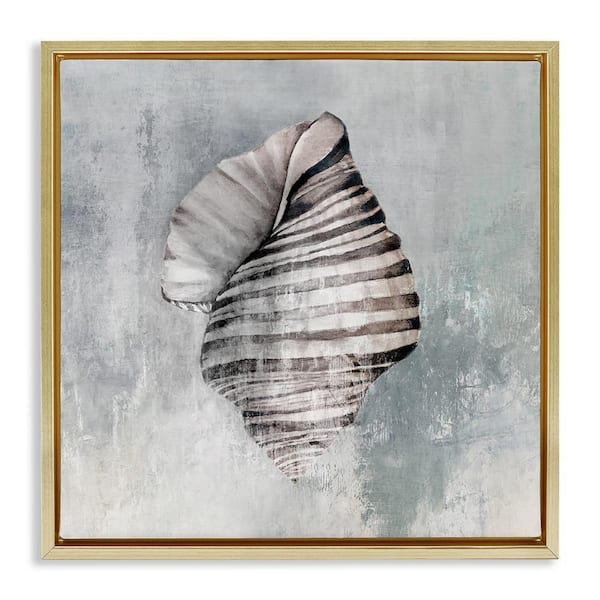 Stupell Industries Organic Twisted Seashell by Eli Jones Gold Floater Frame Coastal Graphic Art Print 18 in. x 18 in.