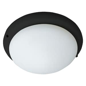 1-Light Black Ceiling Fan Light Kit