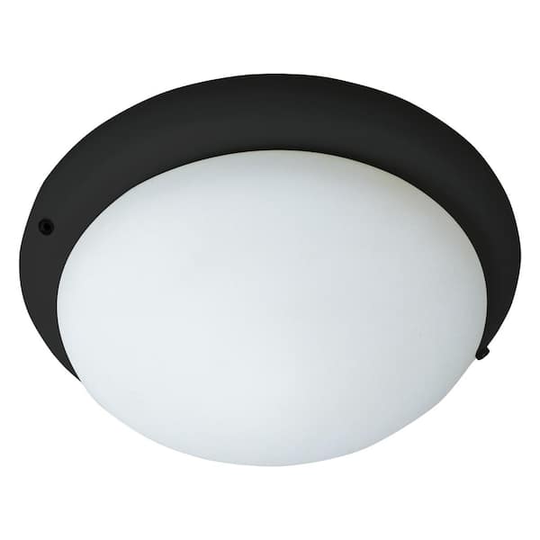 Maxim Lighting 1-Light Black Ceiling Fan Light Kit