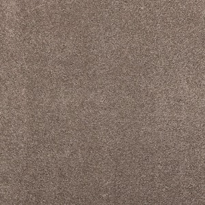 Plush Dreams I - Plush-Brown 12 ft. 39 oz. Triexta Texture Installed Carpet