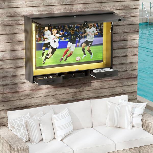 PAKASEPT Black TV Enclosure Can Hold TV Screens Up to 58 in ...