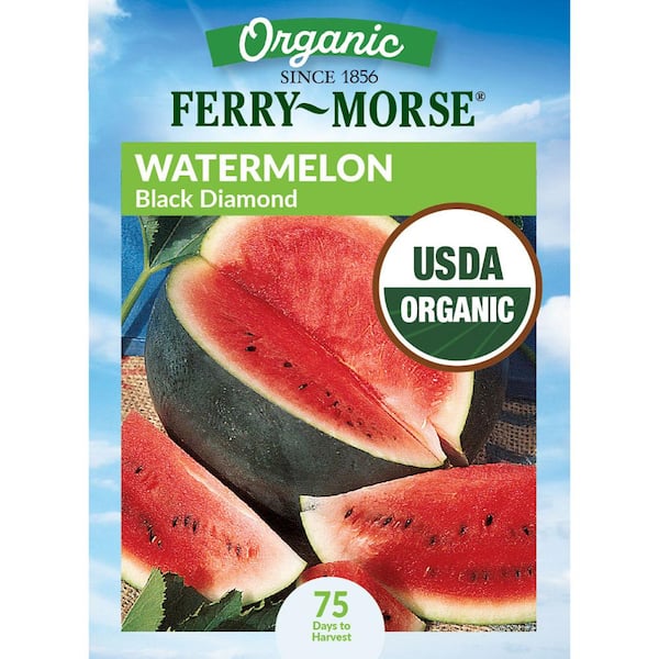 Ferry-Morse Organic Watermelon Black Diamond Heirloom Fruit Seeds