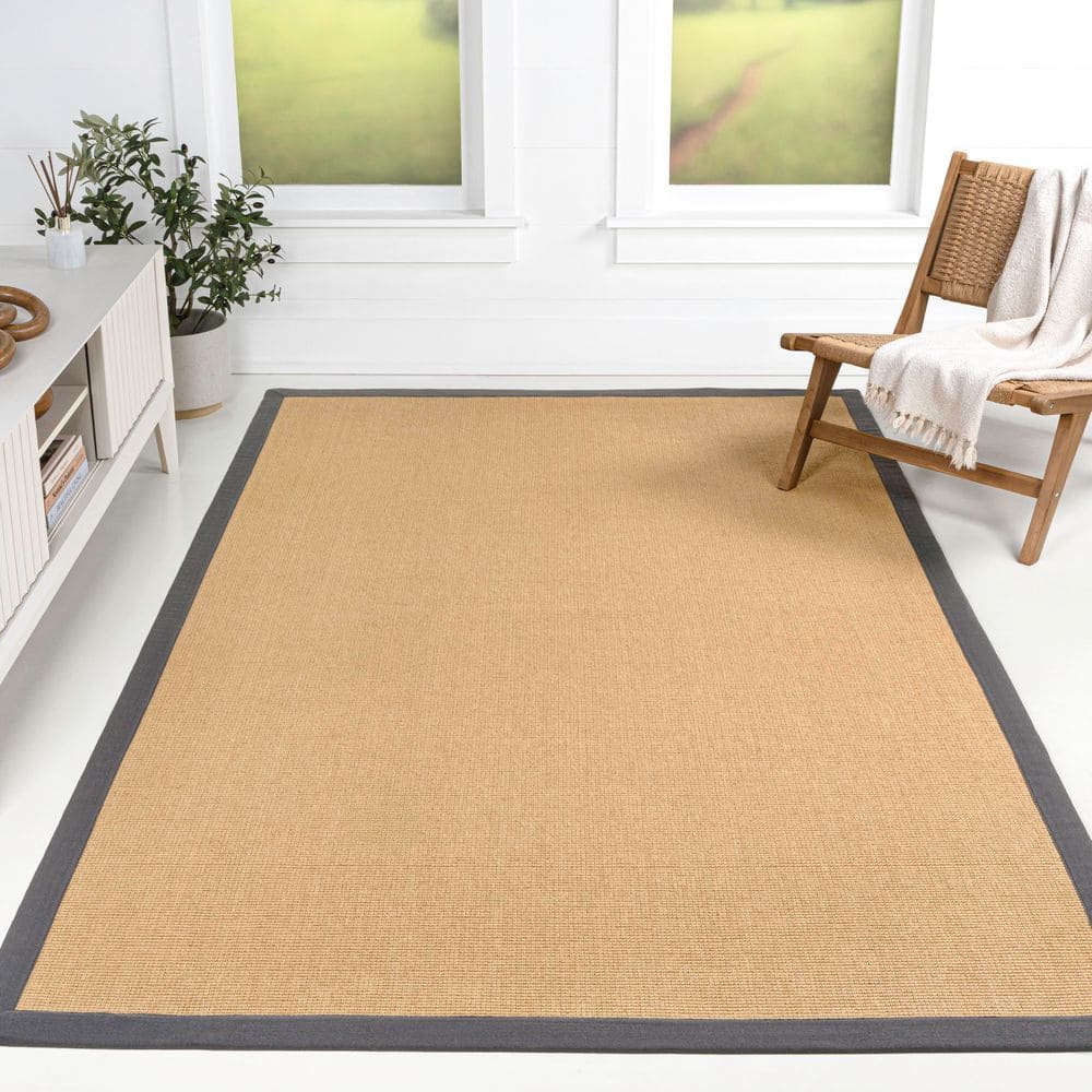 Camden Farmhouse Cottage Border Jute Natural/Dark Gray 4 ft. x 6 ft. Area Rug price history on PriceWatchPro