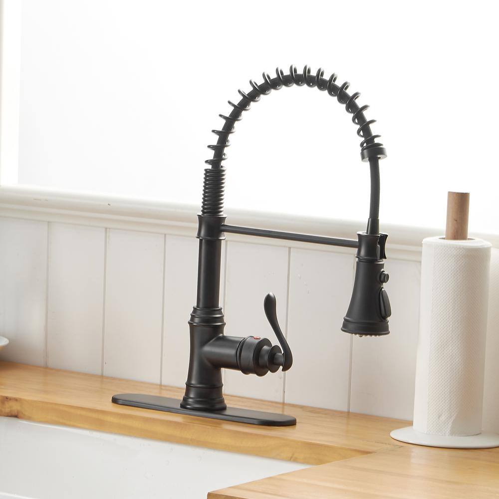 Matte Black Pull-Down Kitchen Faucet with Pull-out Spray