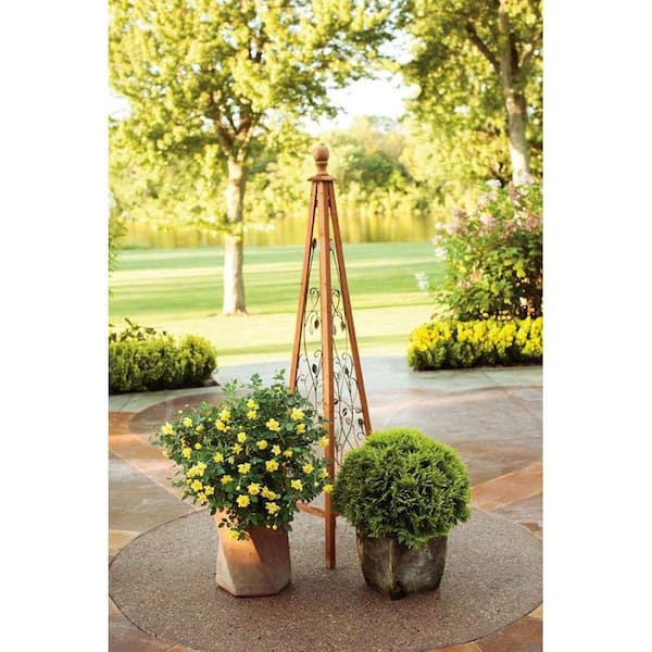 4.5 in. Qt. Anna's Magic Ball Arborvitae (Thuja) Live Evergreen Shrub, Green and Yellow Foliage