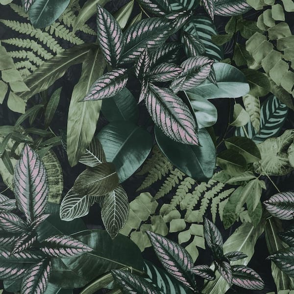 Green Living Wall Peel and Stick Wallpaper Sample