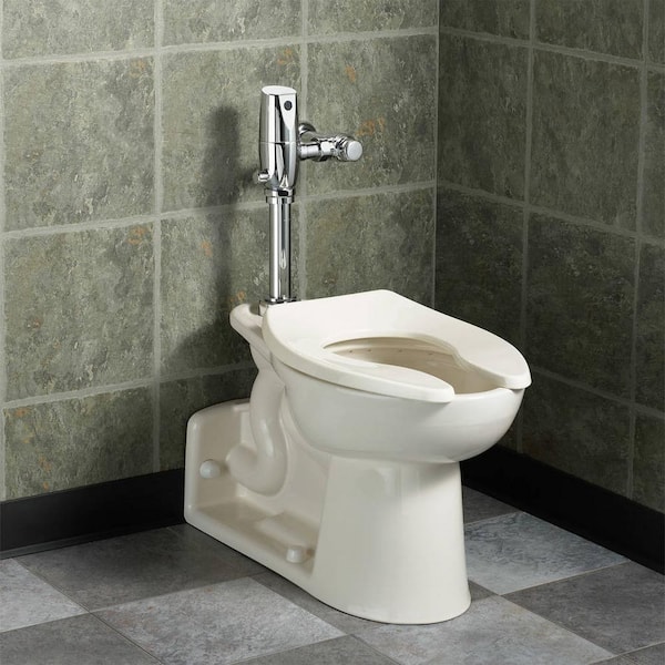 Priolo FloWise 14 in. Rough-In 1-Piece 1.6 GPF Single Flush High Top Spud Elongated Flush Valve Toilet in White
