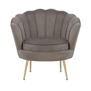 Avignon Gray Velvet Accent Chair (Set of 1)