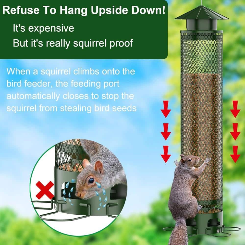 Green Metal Hanging Squirrel Resistant Seed Bird Feeder
