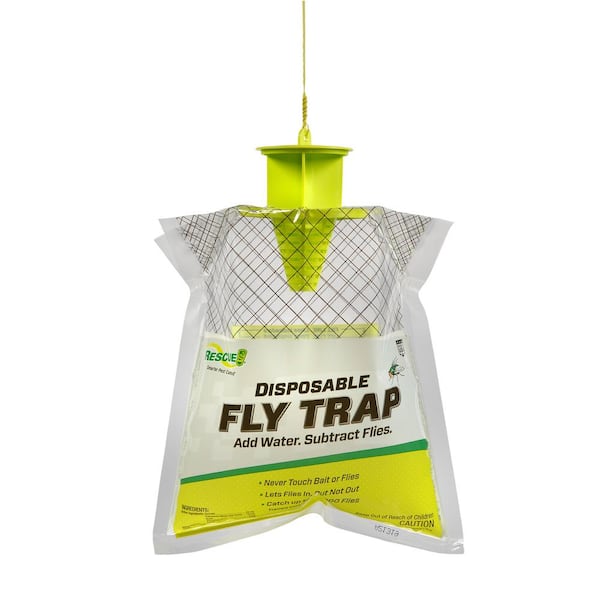 how do you catch flies