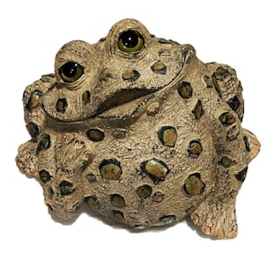 14 in. W Toad Hollow X-Large Toad Dreamer Whimsical Home and Garden Statue