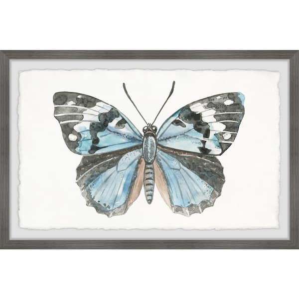 Unbranded "Wild Butterfly" by Parvez Taj Framed Animal Art Print 8 in. x 12 in.