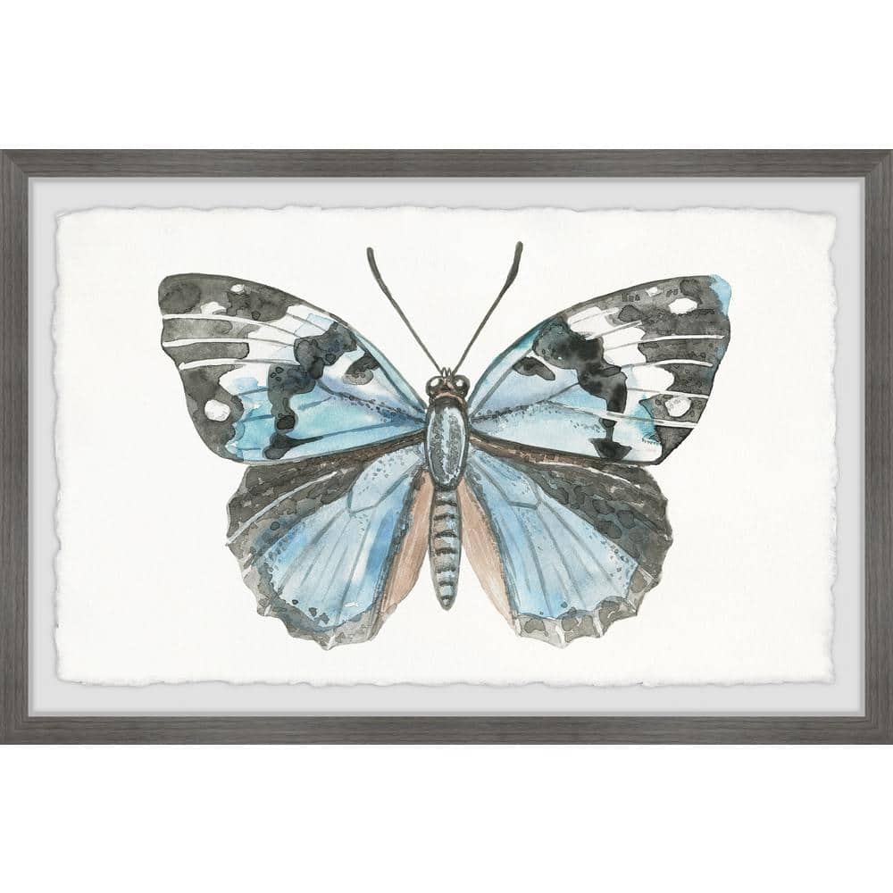 Wild Butterfly by Parvez Taj Framed Animal Art Print 16 in. x 24 in.