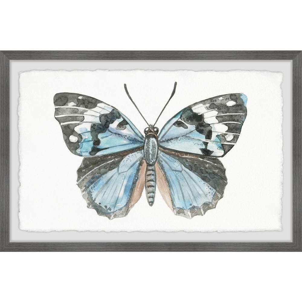Wild Butterfly by Parvez Taj Framed Animal Art Print 24 in. x 36 in.