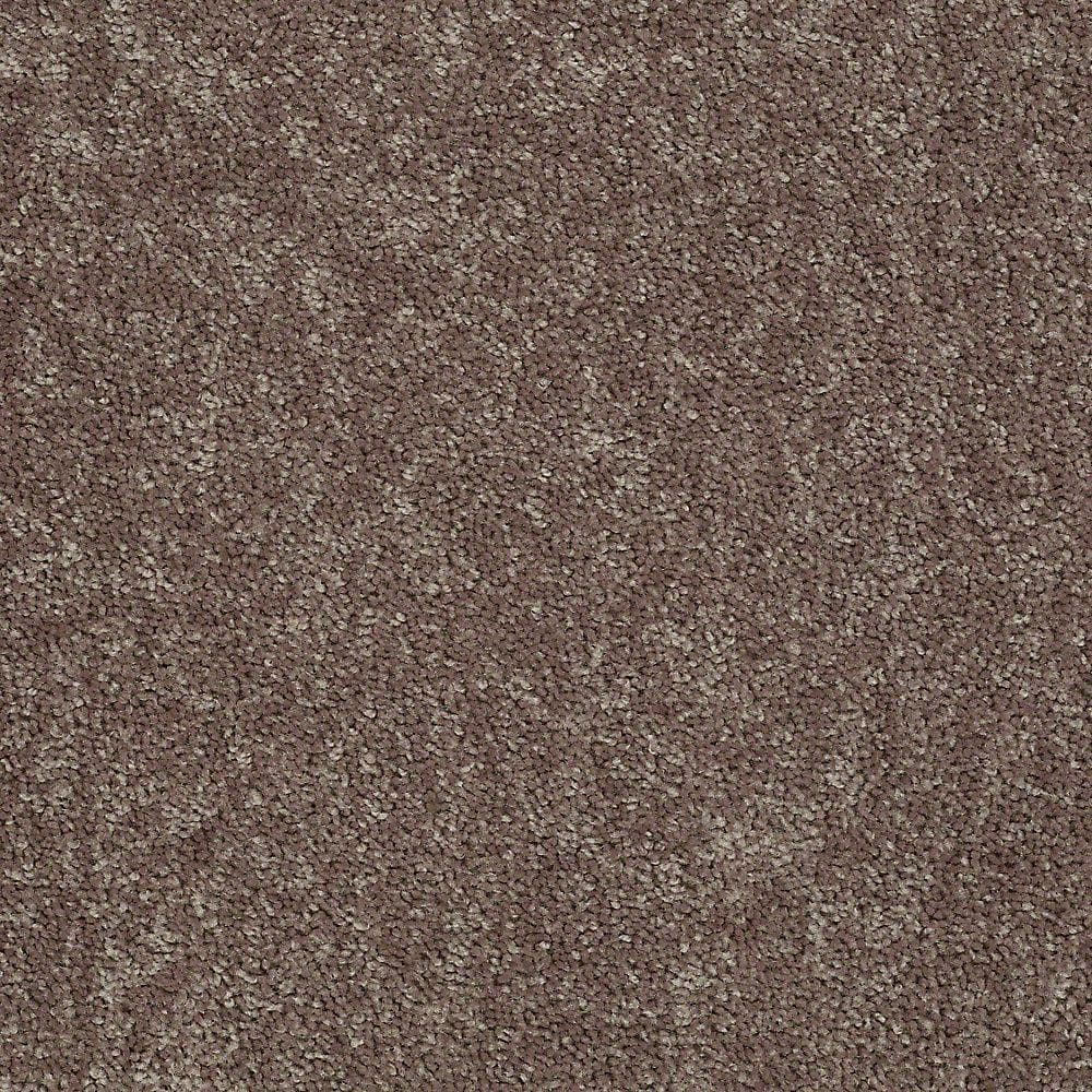 8 in. x 8 in. Texture Carpet Sample - Palmdale I - Color Soft Leather price history on PriceWatchPro
