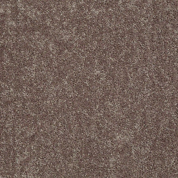 TrafficMaster 8 in. x 8 in. Texture Carpet Sample - Palmdale I - Color Soft Leather
