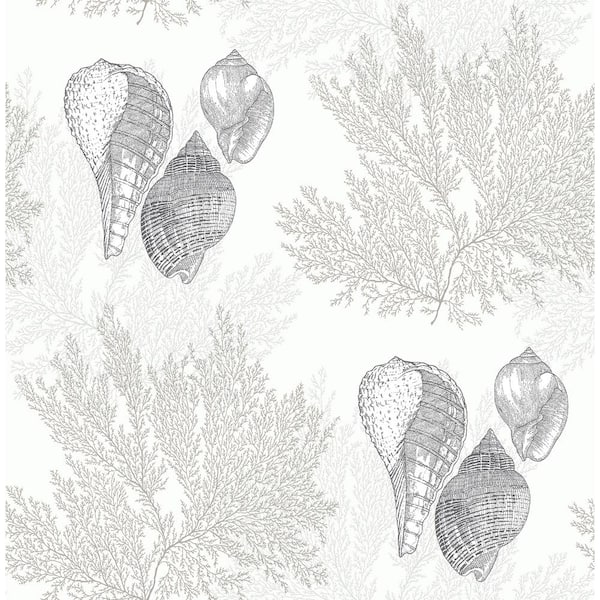 A-Street Prints Nauset Cream Seashell Shores Wallpaper Sample