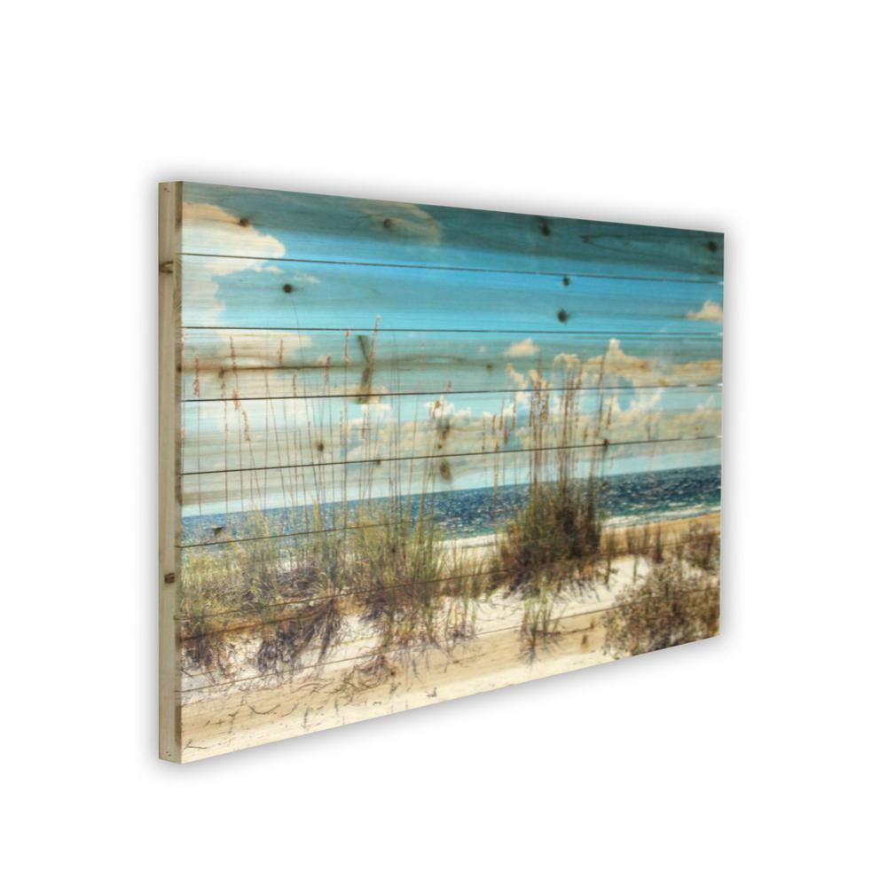 Beach Sand Dunes Coastal Print on Planked Wood Wall Art