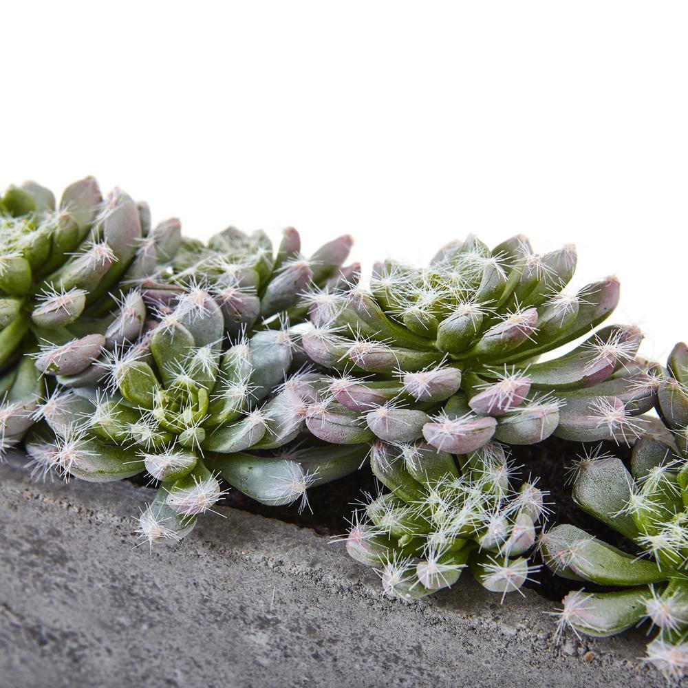 15" Green Succulent Garden with Textured Concrete Planter