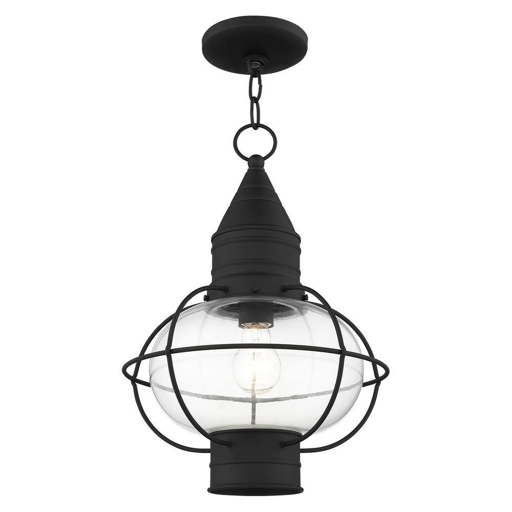 Black Nautical Outdoor Pendant Light with Clear Glass Globe