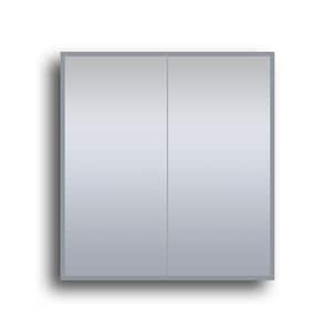 30 in. W x 32 in. H Rectangular Aluminum LED Medicine Cabinet with Mirror and Magnifying Glass