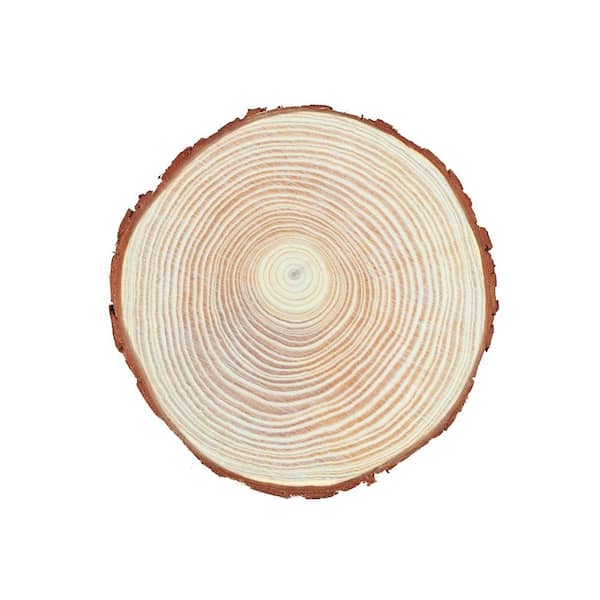 Angel Sar 5.1-5.5 in. Unfinished Wood Slices for Centerpieces with Tree Bark for Crafts Christmas Ornaments (17-Pack)