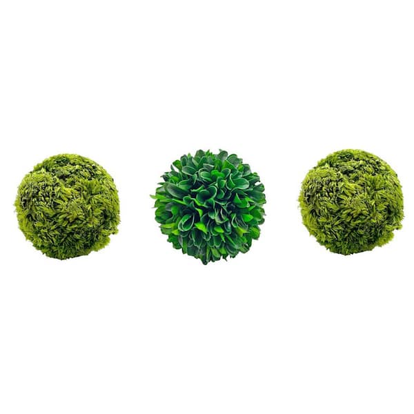 castellousa Non Artificial Preserved Boxwood Cockscomb Topiary Tree Balls (Set of 3)