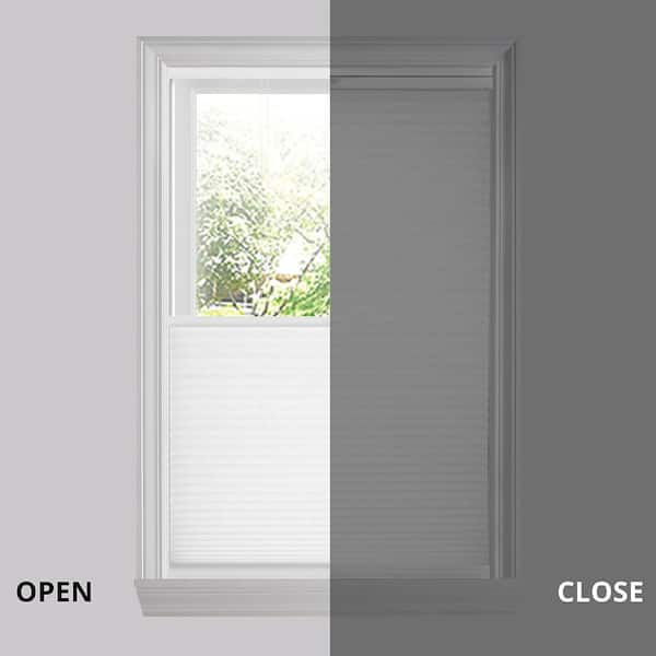 Top Down Bottom Up Light Filtering Cellular Shade