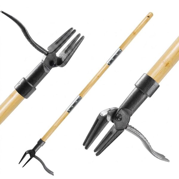 Weed Removal Tool Home Depot