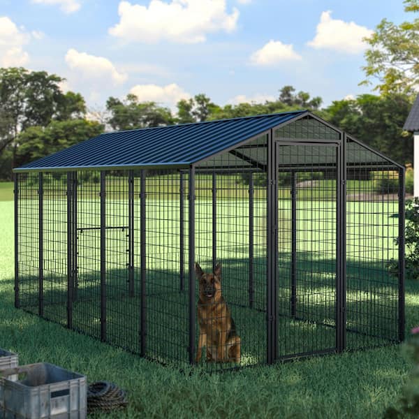 10.5 ft. x 6.2 ft. Outdoor Large Dog Kennel, Chicken Pen with Galvanized Metal Roof for Medium and Large Dogs
