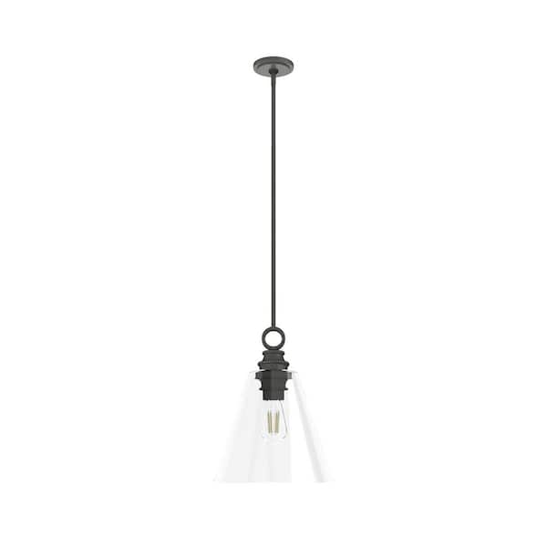 Hunter Klein 1-Light Noble Bronze Island Pendant Light with Clear Glass Shade