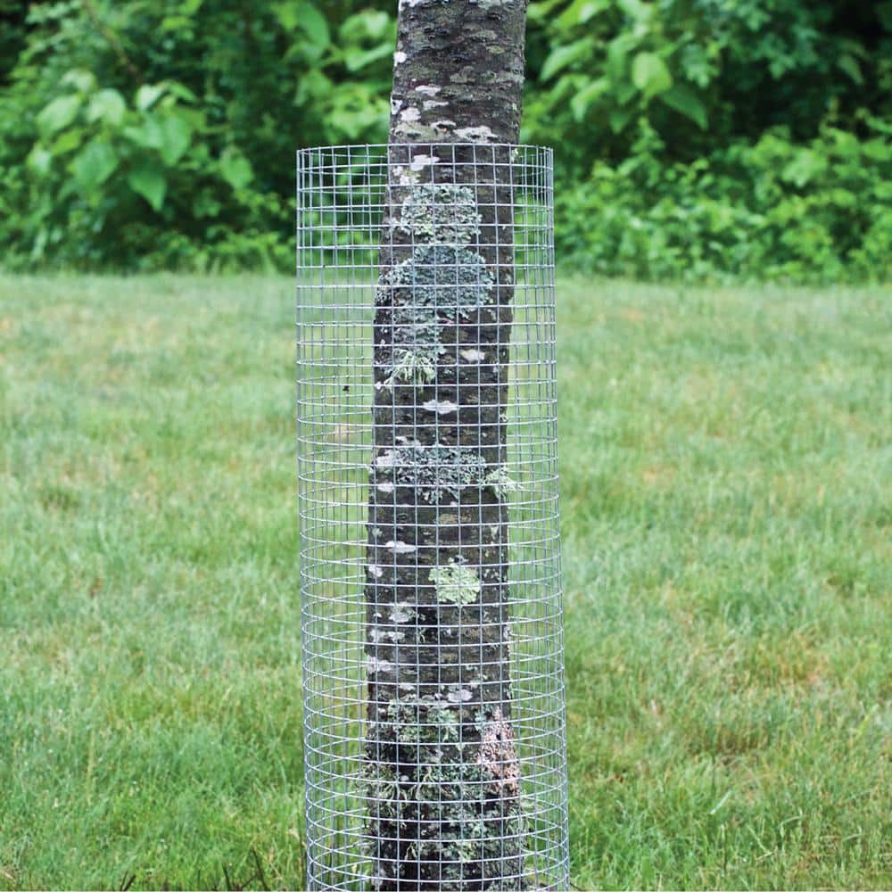 36in x 50ft Silver Galvanized Steel Hardware Cloth