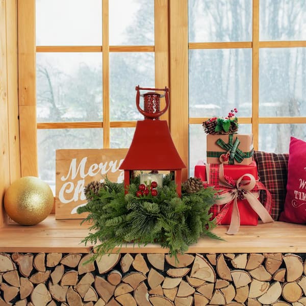 national PLANT NETWORK 5 in. Noble Fir DIY Red Lantern Arrangement Kit