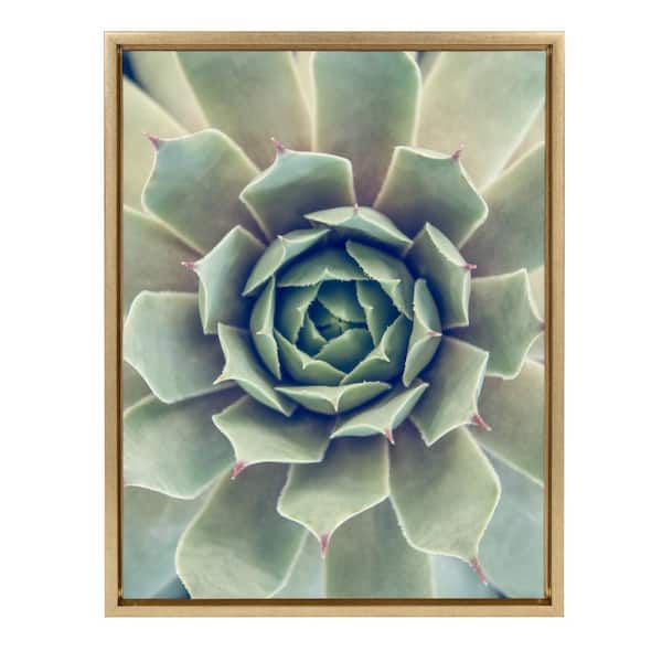 Kate and Laurel Sylvie "Succulent 1" by F2 Images Framed Canvas Wall Art