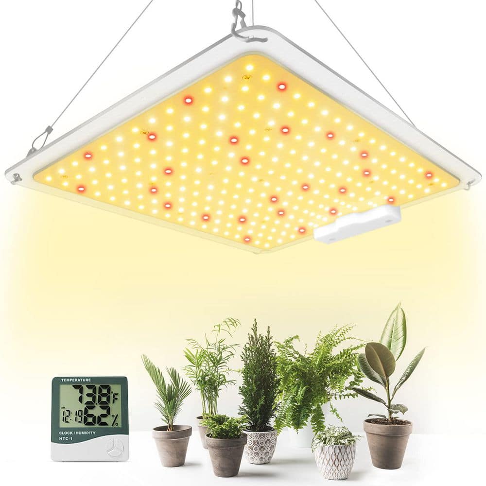 BeamBox 100-Watt Full Spectrum 234-Piece LEDs Grow Lights, 3 x 3