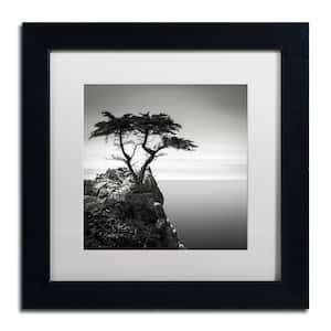The Lone Cypress by Dave MacVicar Nature Art Print 13 in. x 13 in.